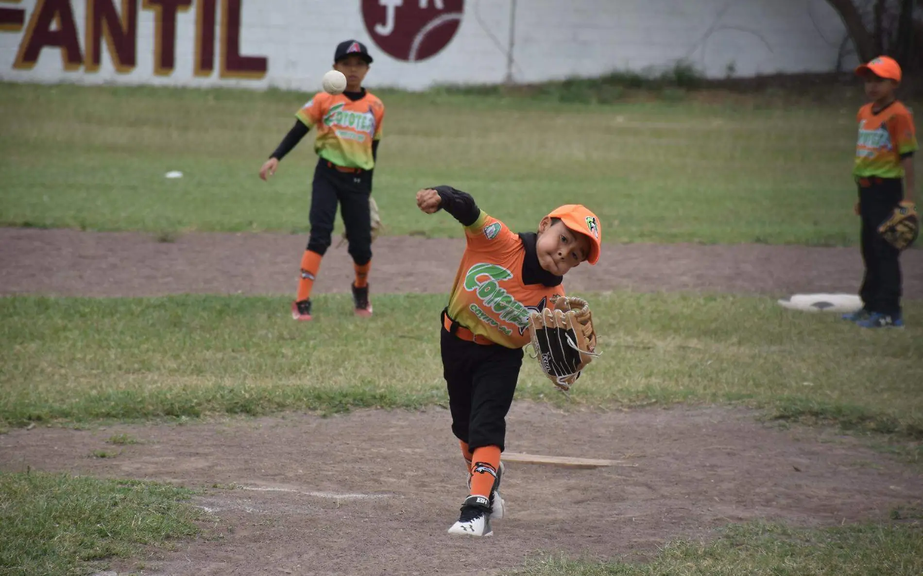 Coyotes UdeIG se impone ante Astros Junior 